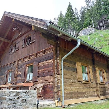 Siegel Almhuette Βίλα Zederhaus Εξωτερικό φωτογραφία